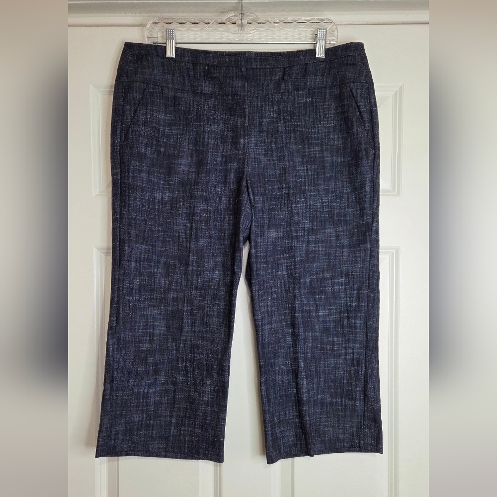 Sandro Sportswear Indigo Flat Front Capris - Size 12